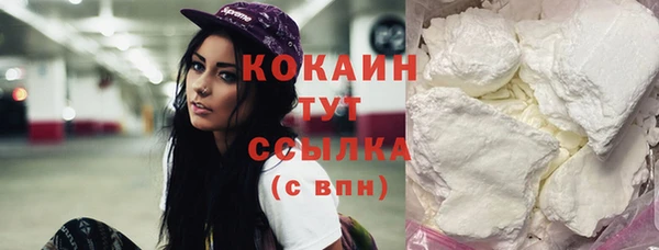 стаф Верея