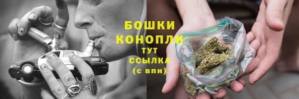 ПСИЛОЦИБИНОВЫЕ ГРИБЫ Бронницы