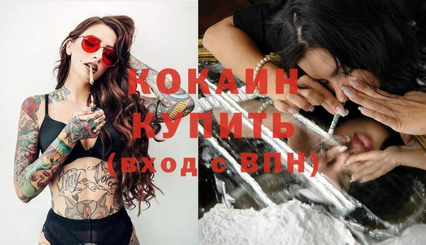 стаф Верея