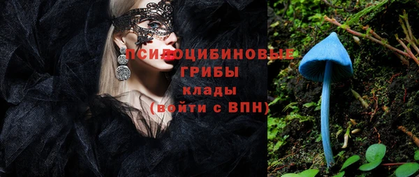ПСИЛОЦИБИНОВЫЕ ГРИБЫ Бронницы