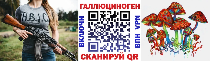 Псилоцибиновые грибы Cubensis  цена наркотик  ОМГ ОМГ сайт  Ростов 